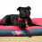 Rogz Scooter Нашийник за кучета с обиколка на врата 26-40 см в черно-бял цвят